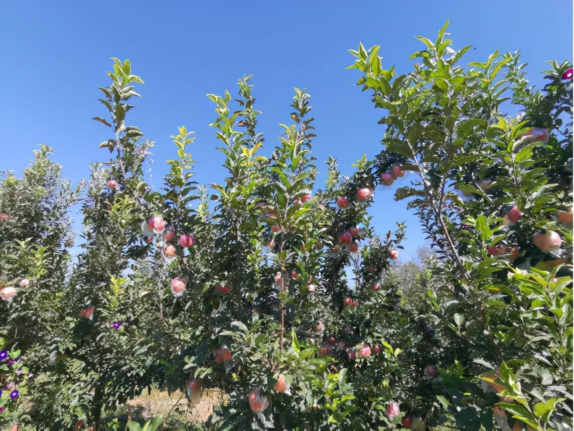 秋季最新时尚款式,友情与时尚的秋日篇章