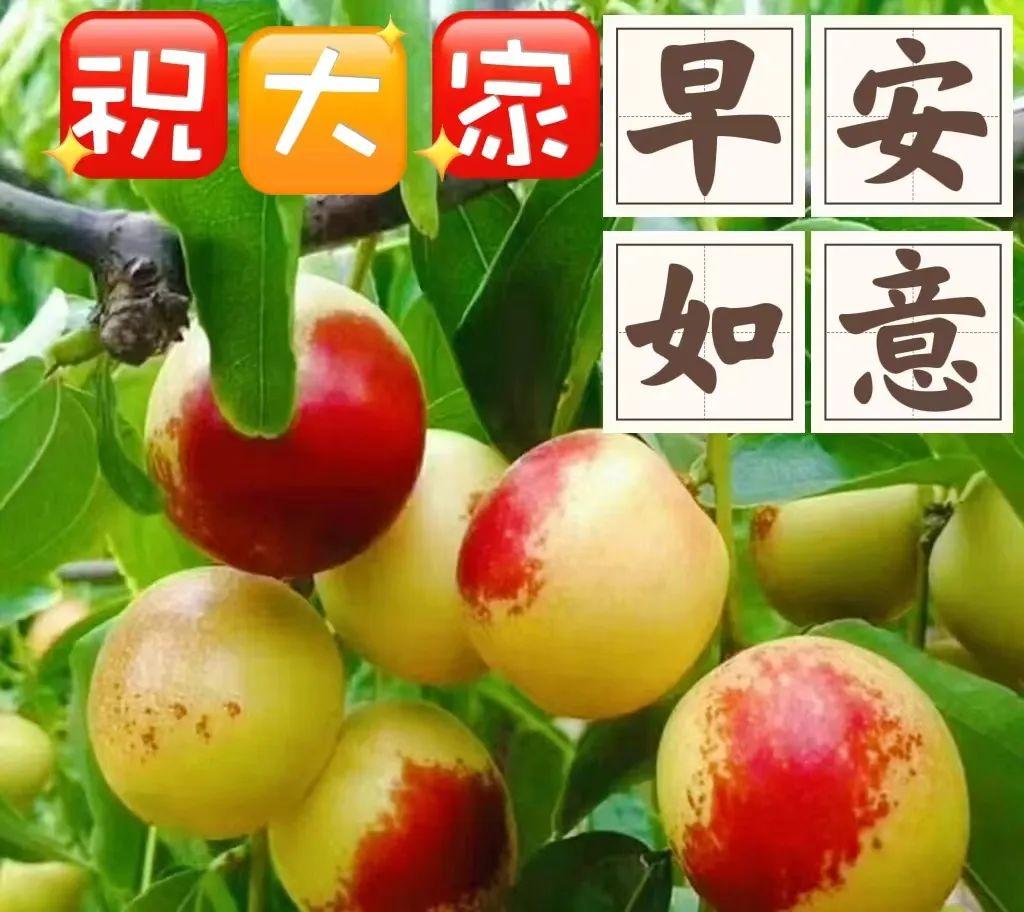 秋季最新时尚款式,友情与时尚的秋日篇章