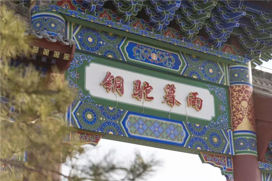 小巷深处的电影天堂,最新电影影音全收录