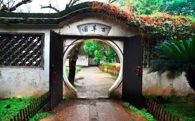 小巷深处的电影天堂,最新电影影音全收录