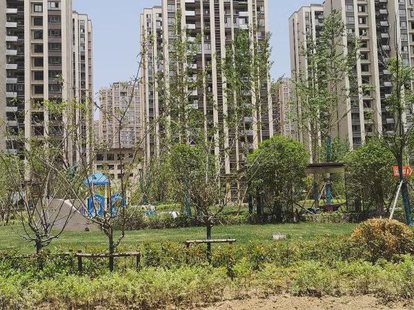 阜南房屋最新价格揭秘,小巷宝藏与独特小店探秘