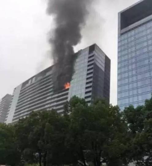 最新纵火案应对与预防实用指南,实用步骤与策略解析