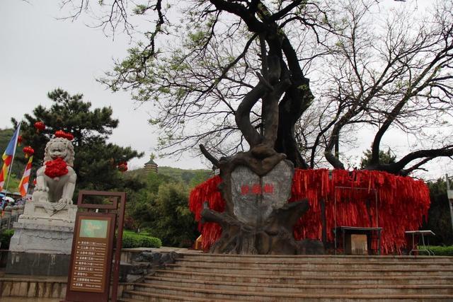 北京城区最新地图探索,古都的现代风采