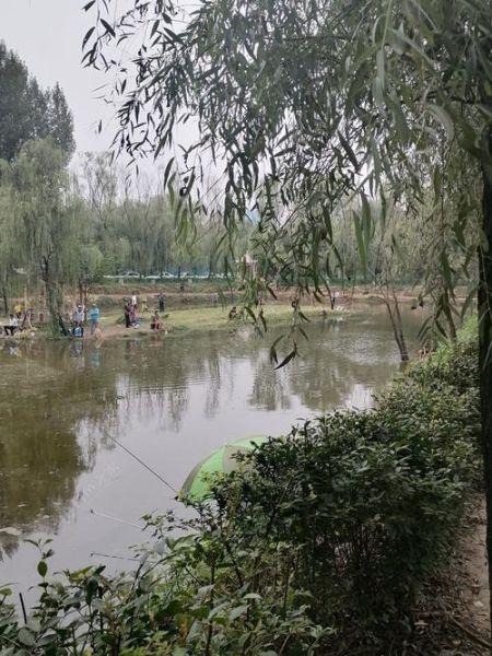 西安钓鱼新秘境,探寻小巷中的野钓宝藏地点!