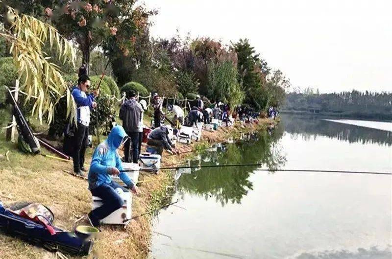 西安钓鱼新秘境,探寻小巷中的野钓宝藏地点!