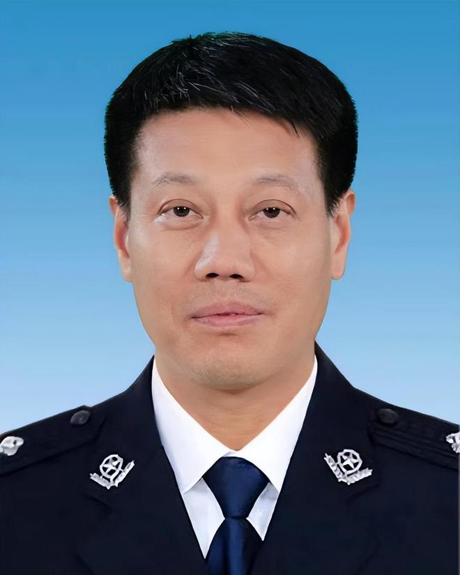 情感纽带揭秘