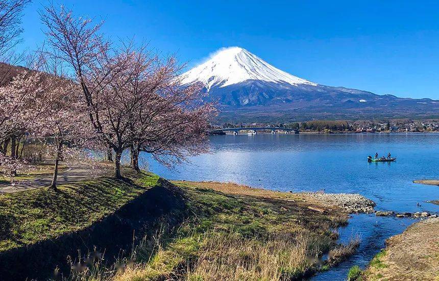 富士山盒子最新地址揭秘，小巷深处的独特风味