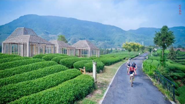 最新小麦行情走势预测与小巷深处的麦香秘境